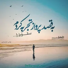 به قصد پرواز تجربه کردم سقوط را...