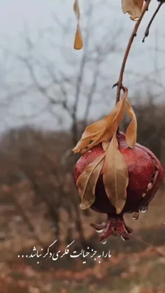 ما را به جز خیالت فکری دگر نباشد