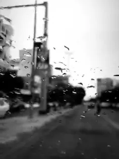#بارون #بوشهر