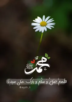 اللهم صل وسلم علی نبینا محمد❤️🪴