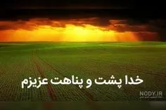 خدا پشت و پناهت عزیزم آبجی قشنگم رفیق نابم