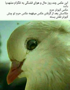 . لطفا فقط اگر حاجت داری بخون
