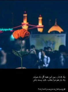 |‌❢ڪــربلایے فــاطـــمھ‌❣ |: