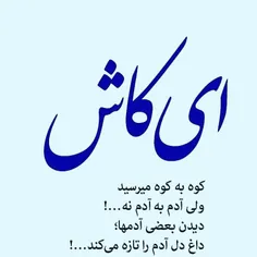 گوناگون mahdireza179 28653004