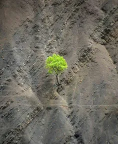 چه جسور می‌شوی وقتی مطمئنی کسی عاشقِ توست!