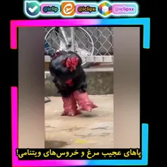 ❤کلی کلیپ  باحال داخل پیج گذاشتم ❤