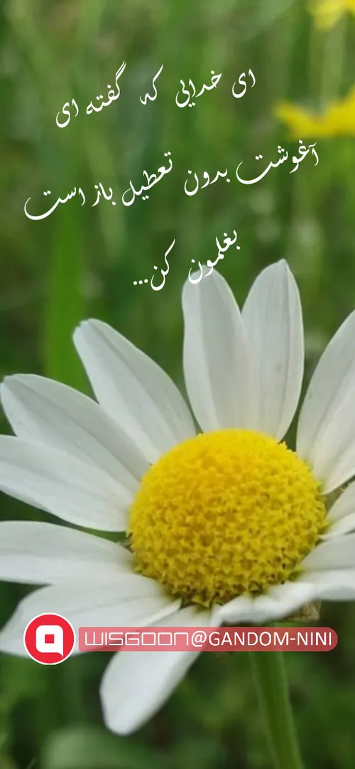 خدای خوبمون بغلمون کن. 😍😍