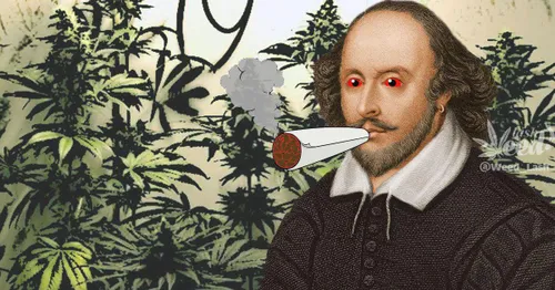 دانشمندان در پیپ شکسپیر که در باغش پیدا شده بود ماریجوانا