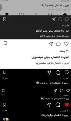 ابری با احتمال بارش گربه 