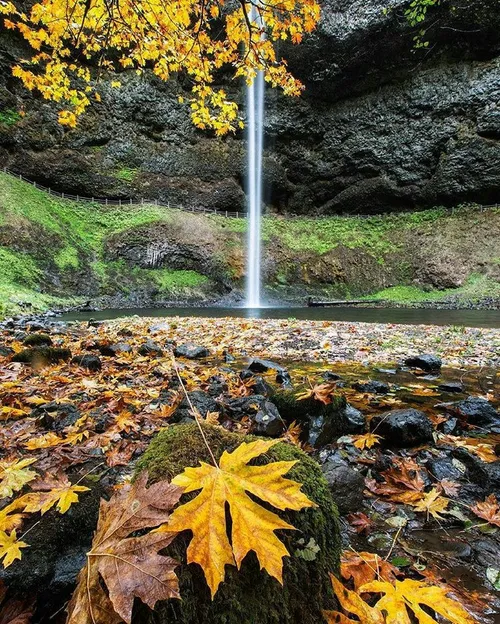 به جایی که در مقابل بهشت خدا هیچه