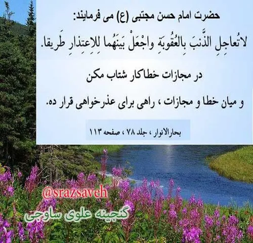 حضرت امام حسن مجتبی ع می فرمایند: