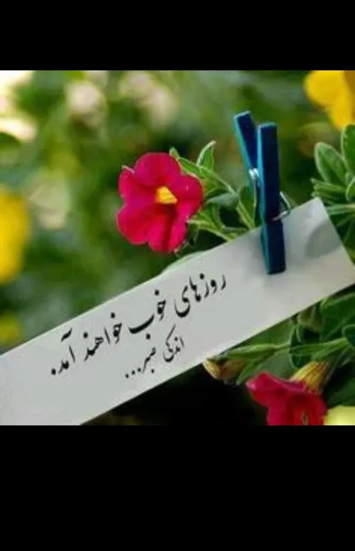 گر صبر کنی