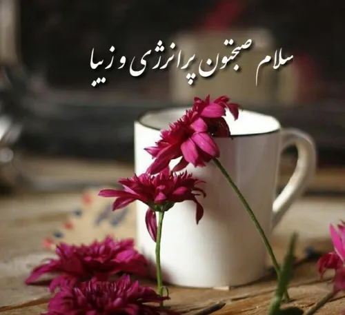 ازهردری سخنی: