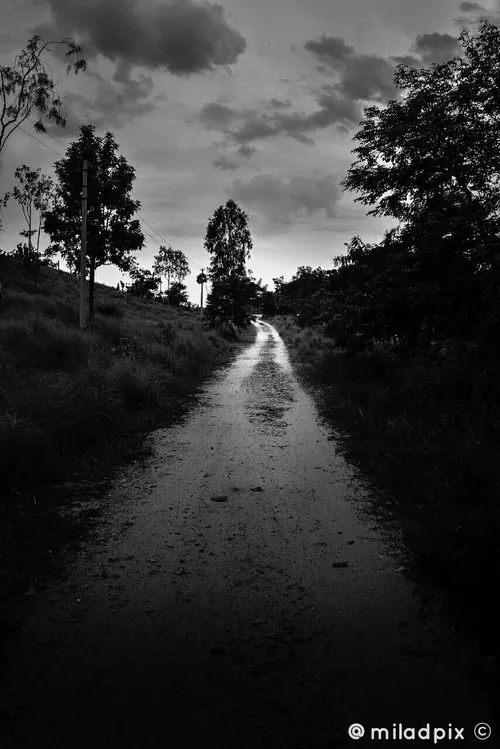 جاده خاموش سیاه سفید