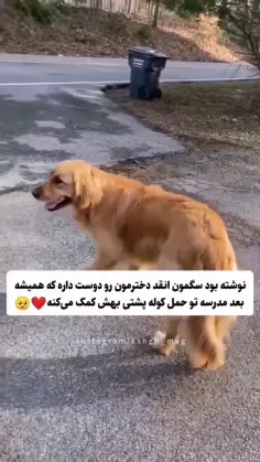 عزیزم 😍