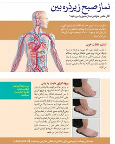 _‍ ‍ 🌹 🍃 یک تعبیر در مورد نماز صبح در قرآن وجود دارد که م