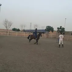 یه امروزو ایمنی نبستمم بعد بگین من خوش شانسم 😢کمرم شیکست