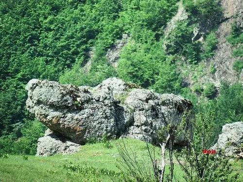 سنگی شبیه لنگه کفش در طبیعت