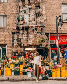 گل فروشی قد یمی Montreal