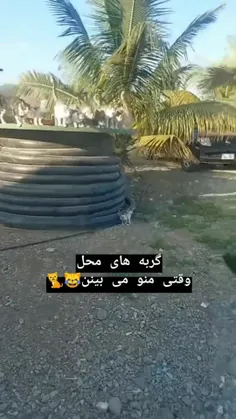 انگار مامانشون اومده 😁
.
باحیوانات مهربان باشیم😍❤️