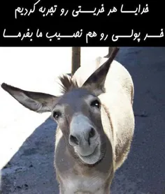 هههخههه