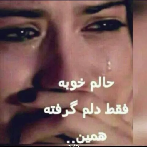 عکس نوشته alovea 9411535 - عکس ویسگون