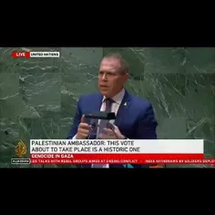 نماینده دائم اسرائیل در سازمان ملل در سخنانی پیش از رای‌گ