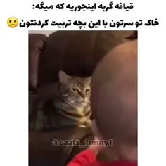 جرررررررررر 