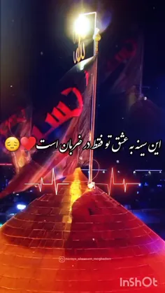 سفر کردم به دنبال سر تو