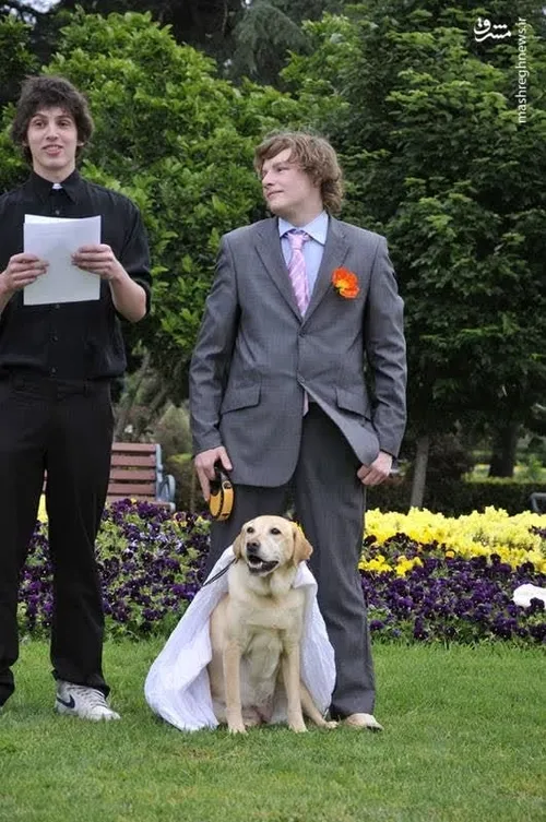 ازدواج جوان استرالیایی 20 ساله با سگ خود !