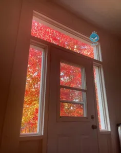 اولین دیدار