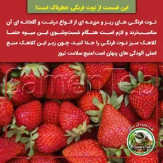 ⚠️این قسمت از توت فرنگی خطرناک است