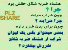 شاید...