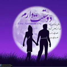 پارادوکس یعنی؛