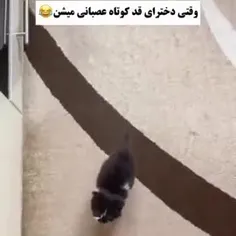 منی که دقیقا همینطوریم‌!🤌😂