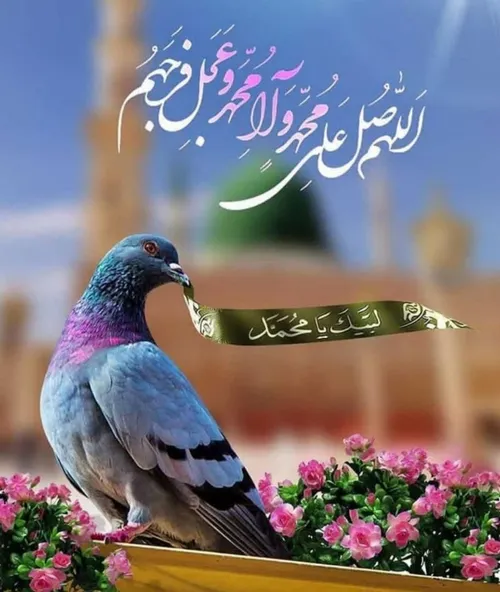 میلاد ختم المرسلین و امام جعفر صادق علیه السلام مبارک!!!