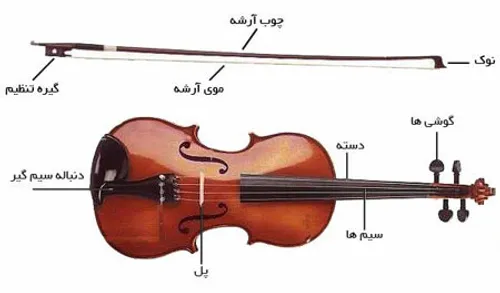 آموزش موسیقی ویولون