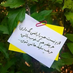 لازم نیست همه را راضی نگه داری