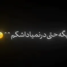 همه الکین نقشن..