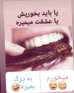 کدوم؟؟؟