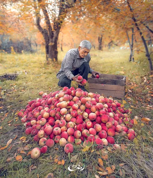 ای کاش جای این همه دیوار و سنگ