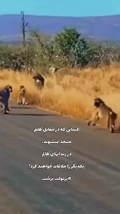 کسانی که در مقابل ظلم