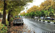 #پاییز_بلوار ارم شیراز