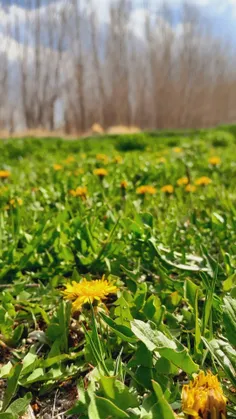 من از حوادث زندگی لذت می‌برم؛ مهم نیست که این حوادث خوب ی