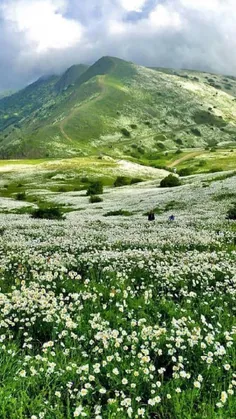 #ایران_زیبا🇮🇷