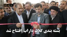 سایت بسته بندی بازار داخلی کارخانه گلاب داراب افتتاح شد