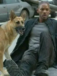 زمان کار روی فیلم  i am legend ویل اسمیت با sam بسیار اُخ