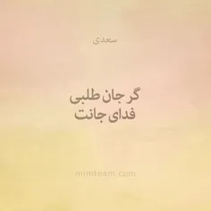 کانال میم‌تیم در تلگرام:
