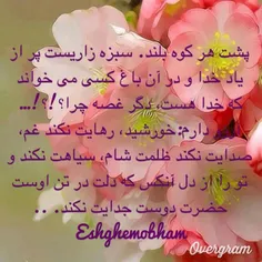 کی بیداره؟