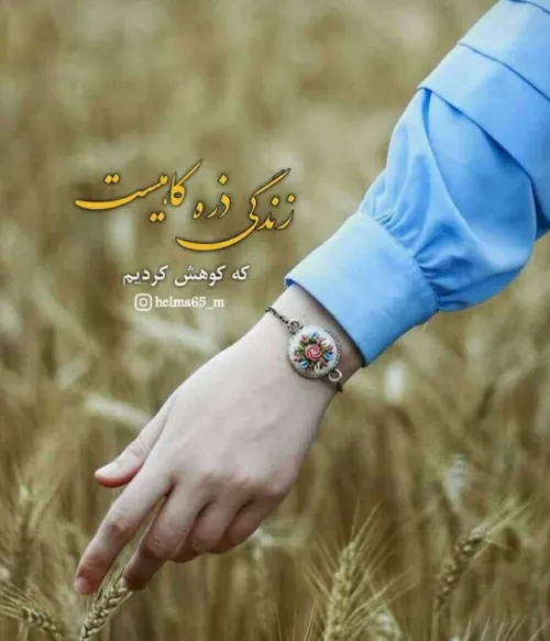 گوناگون kyarashhhhh 32450949 - عکس ویسگون